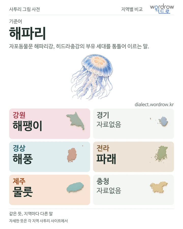 해파리의 여섯 지역 사투리 비교