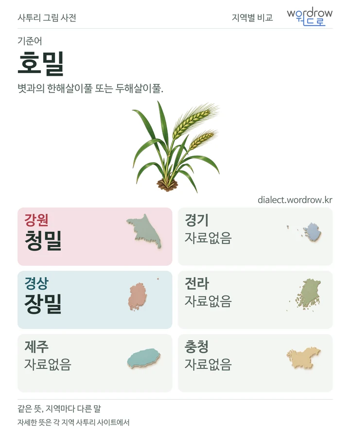 호밀의 여섯 지역 사투리 비교