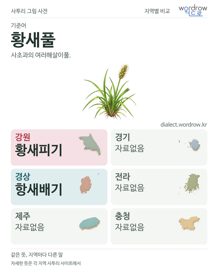 황새풀의 여섯 지역 사투리 비교