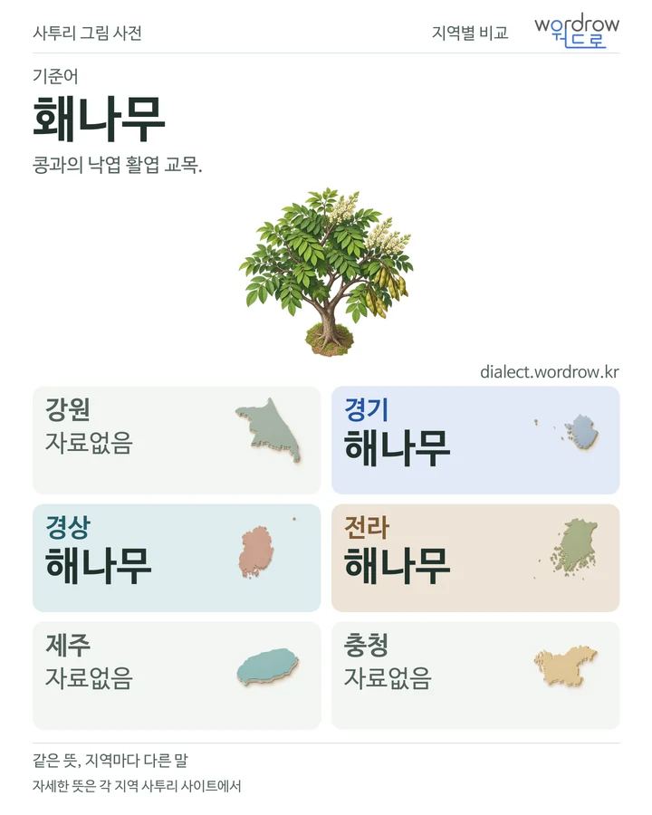 홰나무의 여섯 지역 사투리 비교